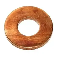 Nozzle gasket 182.350