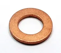 Nozzle gasket 138.480
