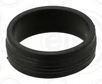 Nozzle gasket 593.920