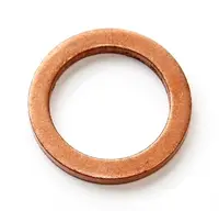 Nozzle gasket 118.559