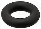 Nozzle gasket 893.889