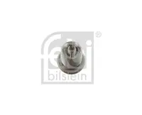 Ignition plug 13503