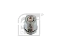 Ignition plug 13429