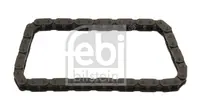 Chain of oil pump 39821