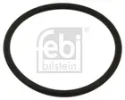 Flange 18774