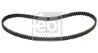 Distribution belt 11004