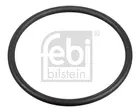 Gasket, fuel pump 172666