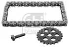Engine timing chain kit 184820