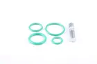 Conditioning system valve 999233