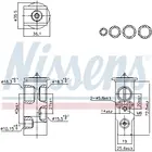 Conditioning system valve 999455