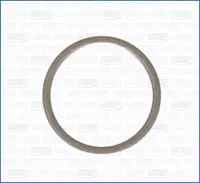 Oil drain plug gasket 22010200