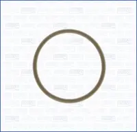 Nozzle gasket 16016500