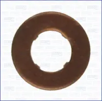 Nozzle gasket 01249500
