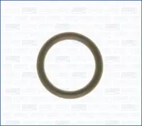 Įsiurbimo kolektoriaus tarpinė 16056800