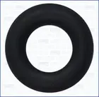 Nozzle gasket 16003700