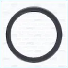 Nozzle gasket 01460000