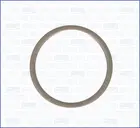 Tepalo išleidimo varžto tarpinė 22010200