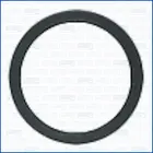 Nozzle gasket 01460800
