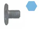 Oil drain plug 220054H
