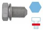 Oil drain plug 220061H