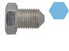 Oil drain plug 220060H