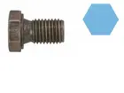 Oil drain plug 220053H