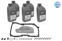 Filtras automatinės greičių dėžės  100 135 0100