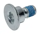 Brake disc bolt 10 90 5560
