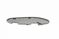 Lattice for front bumper V30-1604