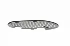 Lattice for front bumper V30-1604