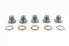 Oil drain plug V42-0259