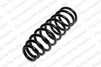 Front spring 14824