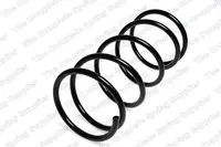 Front spring 18410