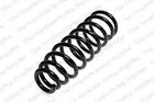 Front spring 14824