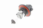 Xenon lamp V99-84-0073