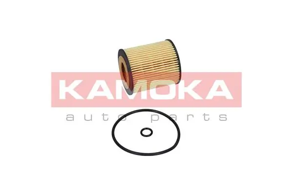             Filtras tepalo F110201 gera kaina internetu
        