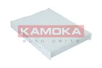Filtras salono F408201