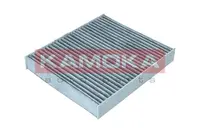 Filtras salono F511301