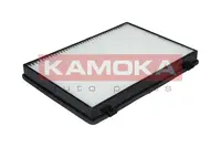 Filtras salono F405901