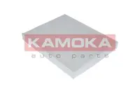 Cabin Filter F404501