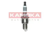 Ignition plug 7090518