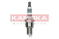 Ignition plug 7090519