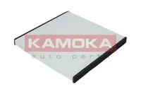 Filtras salono F406301