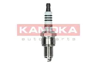 Ignition plug 7090517
