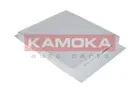 Cabin Filter F405801