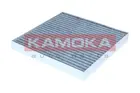 Cabin Filter F525101