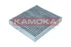 Filtras salono F511301