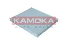 Cabin Filter F417001
