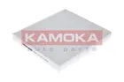Cabin Filter F410201