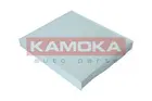 Cabin Filter F420101